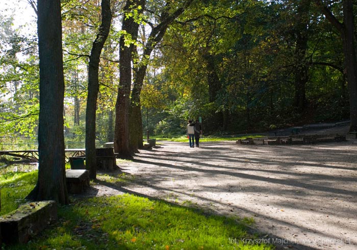 Park Miejski w Reszlu