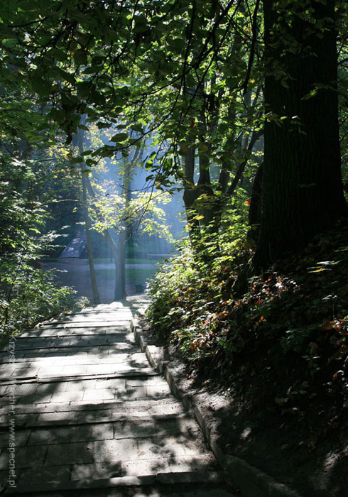 Park Miejski w Reszlu
