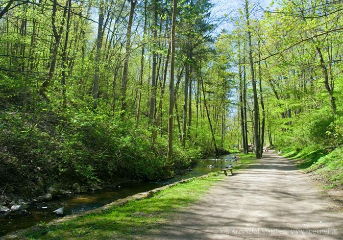 Park Miejski w Reszlu
