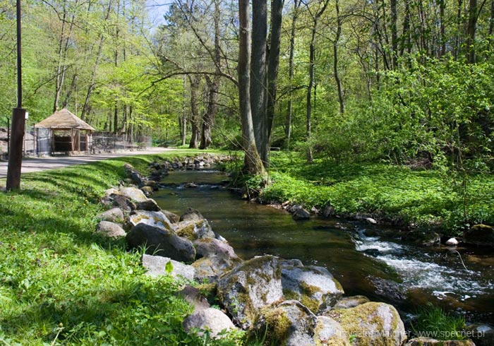 Park Miejski w Reszlu
