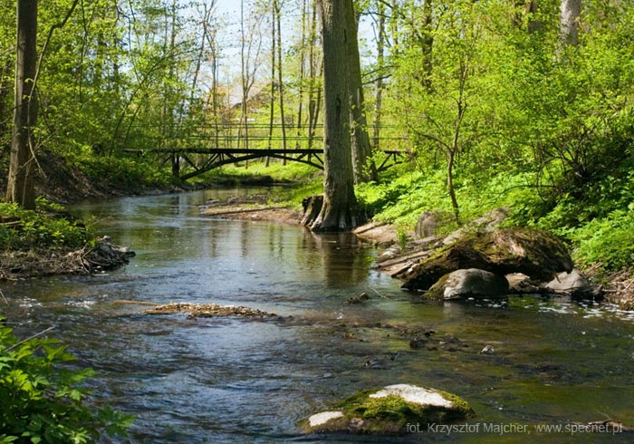 Park Miejski w Reszlu
