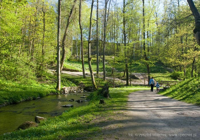 Park Miejski w Reszlu
