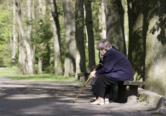 Park Miejski w Reszlu
