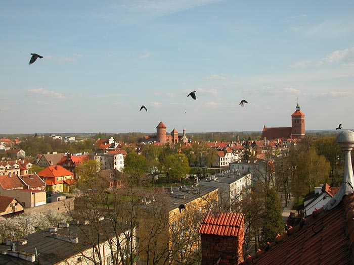panorama miasta od ul.Krasickiego