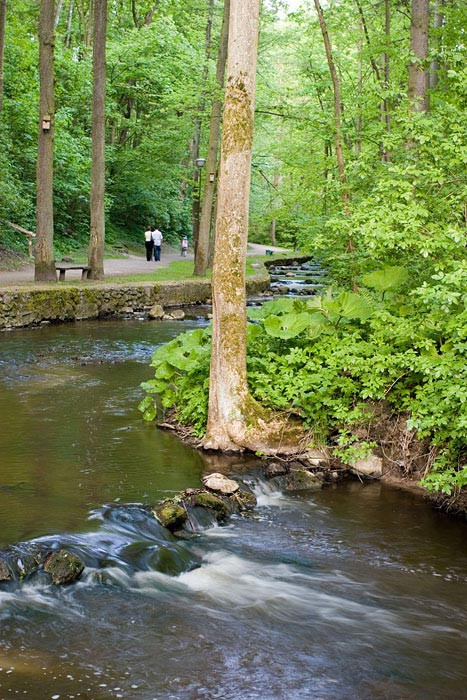 Park Miejski w Reszlu