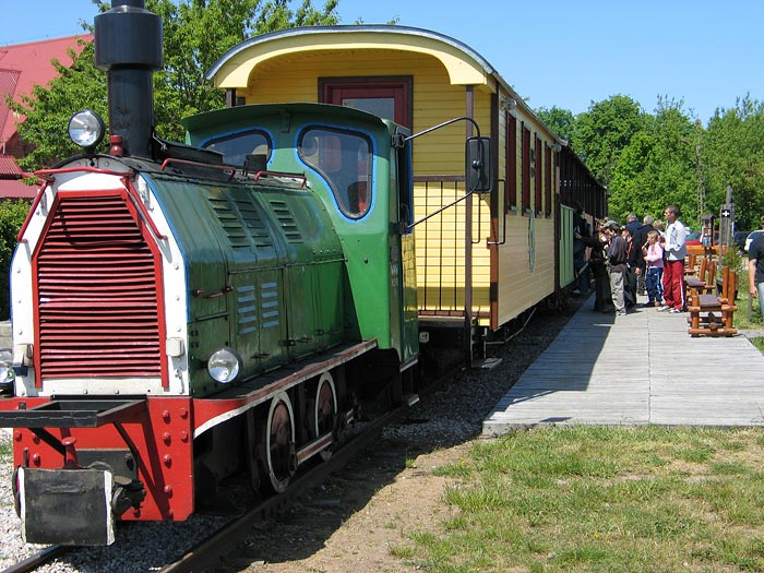 Kolejka wąskotorowa w Płocicznie.