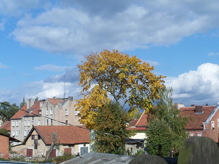 Jesienne niebo nad miastem