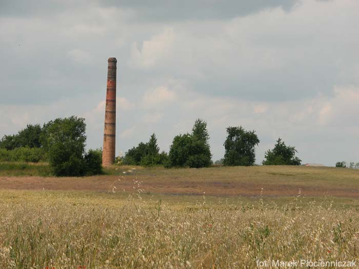 Pozostałości po cegielni w Grodzkim Młynie