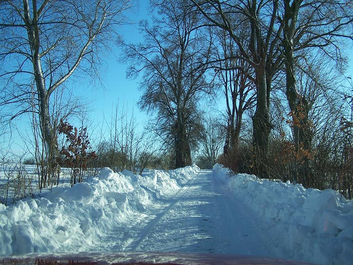 styczeń 2009