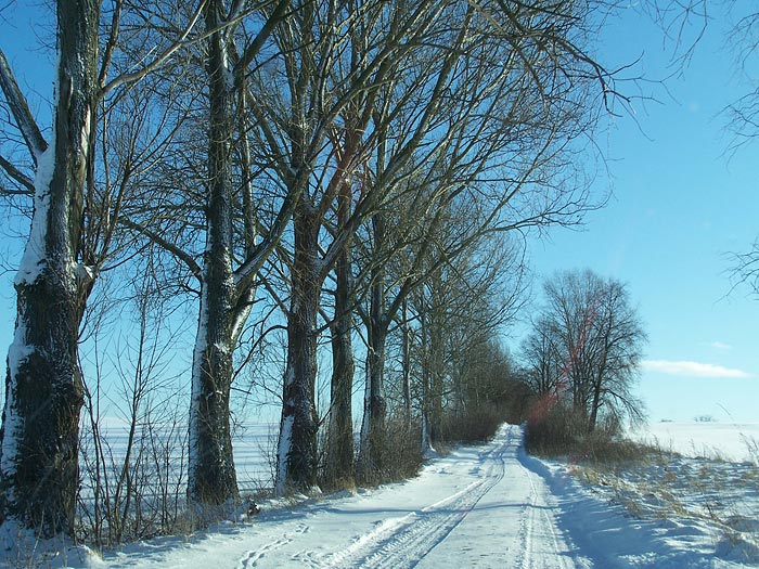 styczeń 2009