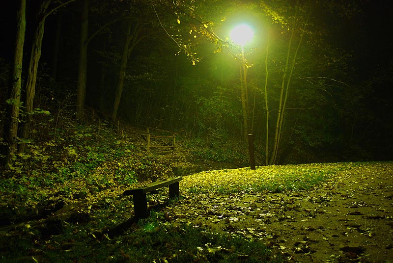 park nocą