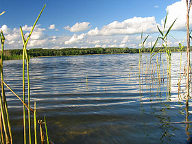 jezioro Widryńskie od strony południowej - z plaży fot.Krzysztof Majcher