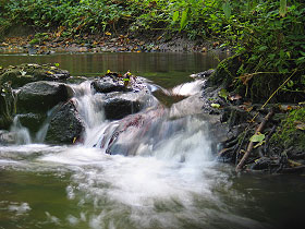 mini wodospad na rzece w Parku Miejskim fot.Krzysztof Majcher