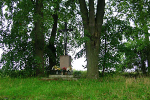 Foto. 2. Krzyż na wzgórzu szubienicznym fot.Tadeusz Rawa