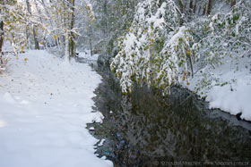 zimowo - jesienna sceneria rzeki fot.Krzysztof Majcher