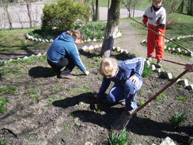 Ekozespoły dbają o szkolny ogródek.
   Sadzą  cebulki kwiatów, pielą i grabią. fot. Halina Domjan