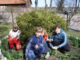 Dzieci obserwują wzrost roślin w ogródku szkolnym. fot.Anna Szumko