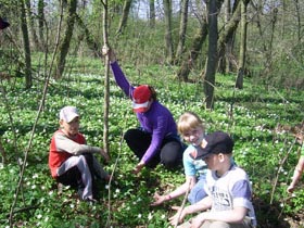 Wycieczka do parku. Ekozespoły obserwują zmiany zachodzące w krajobrazie. fot. Halina Domjan