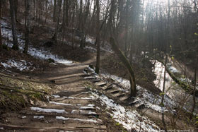 Park Miejski w Reszlu
 fot.Krzysztof Majcher