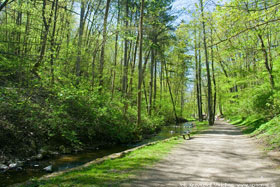 Park Miejski w Reszlu
 fot.Krzysztof Majcher