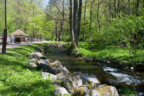 Park Miejski w Reszlu
 fot.Krzysztof Majcher