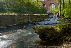 Rzeka Cyna (Sajna) - odcinek o najw ..., fot. Krzysztof Majcher