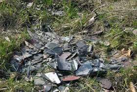 Dzikie wysypisko plastiku i szkła znajdowało się na łące w kierunku Koziej Górki. fot.Koło Ekologiczne Ekozespoły