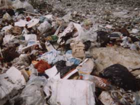 Aby takie widoki należały do rzadkości – segregujmy śmieci!(ekozespół) fot.Koło Ekologiczne Ekozespoły