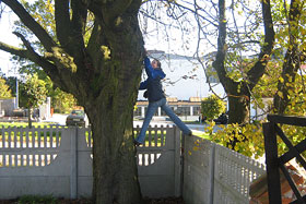  Hanka usiłuje wejść na drzewo – cel uświęca środki, jak widać.
 fot.Koło Ekologiczne Ekozespoły