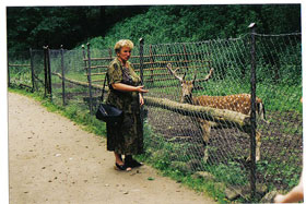  Tak wyglądało pierwsze zwierzę w minizoo w parku (1998 r.).
 fot.Koło Ekologiczne Ekozespoły