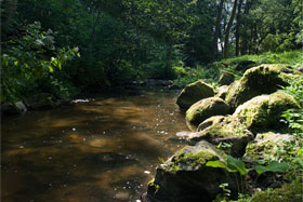 Rzeka Sajna (Izera) w Reszelskim Parku fot.Krzysztof Majcher