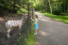 Park Miejski w Reszlu fot.Krzysztof Majcher