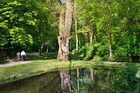 Park Miejski w Reszlu, fot. Krzysztof Majcher