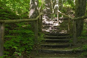 Park Miejski w Reszlu, fot. Krzysztof Majcher