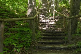 Park Miejski w Reszlu fot.Krzysztof Majcher