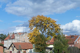 Jesienne niebo nad miastem