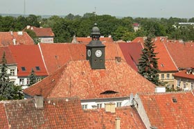widok na ratusz z zamkowej wieży, fot.  Marek Płócienniczak