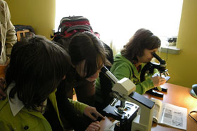  Nasze obserwacje mikroskopowe osadu czynnego i ścieków.
 fot.Koło Ekologiczne Ekozespoły