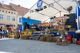 Dożynki Gminne 2009
 fot.Krzysztof Majcher