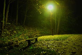 park nocą, fot.  Marek Płócienniczak