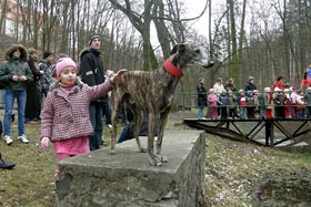 Witamy Wiosnę
 fot.Jolanta Grzyb