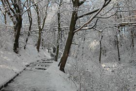 , fot.  Marek Płócienniczak