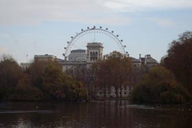 London Eye
 fot.Anna Jałoszewska