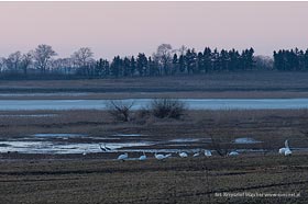  fot.Krzysztof Majcher