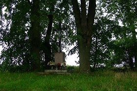 Krzyż przy wzgórzu szubienicznym (przy ul. B. Chrobrego)
 fot.Tadeusz Rawa