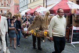  fot.Krzysztof Majcher