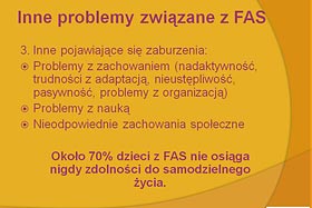  fot. Organizatorzy