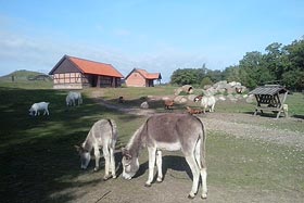  fot.Zespół Szkół im. M. Rataja