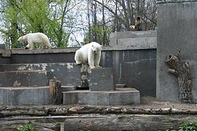  fot.Elżbieta Majcher.