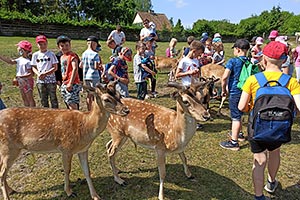  fot.Zespół Szkolno-Przedszkolny w Reszlu